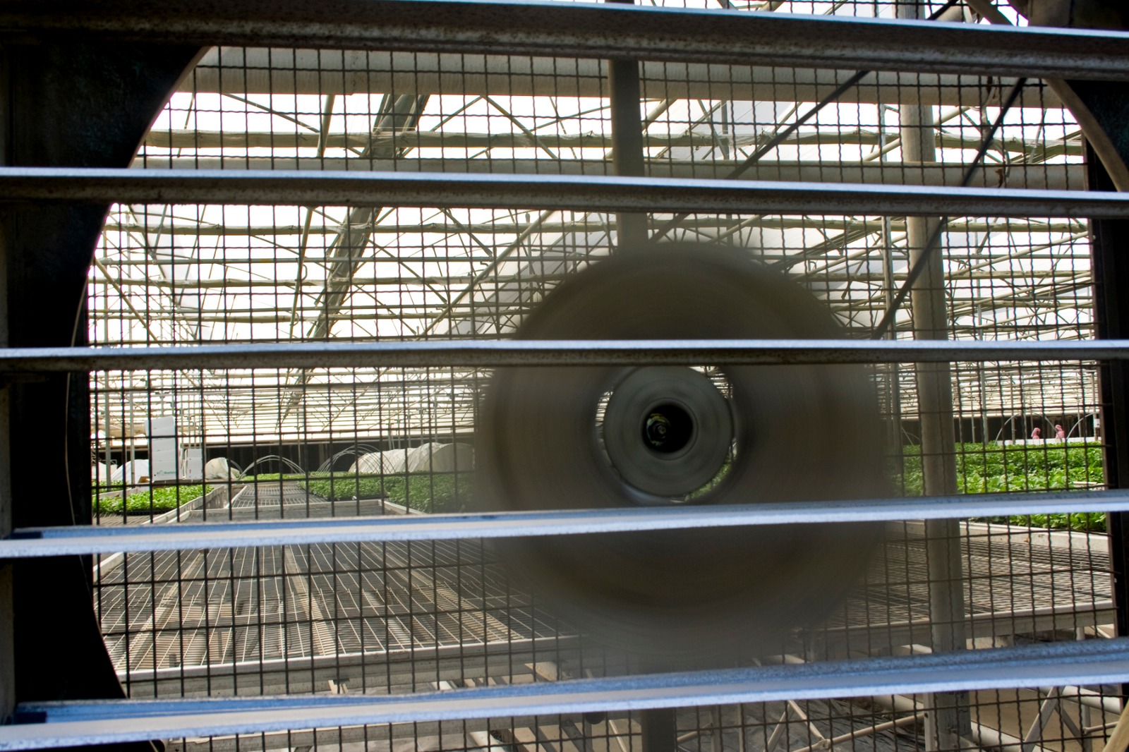 Greenhouse Project 15